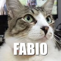 Fabio